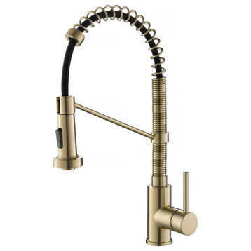Bolden Commercial Style 2-Function Pull-Down 1-Handle 1-Hole Kitchen Faucet, Brushed Gold
