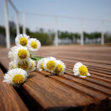 dassoXTR Deck in Shanghai World Expo. Back beach Garden