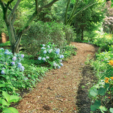 Ecological Pool & Playscape
