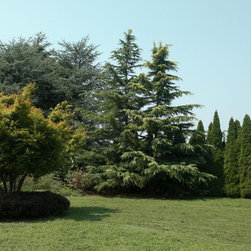 NYS Farms - Products