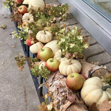 Autumn Mauves & Creams, River Birch logs, farm apples, dried hydrangea