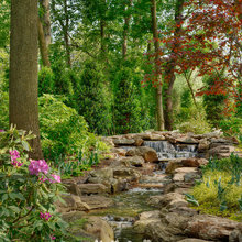 FRONT YARD DROUGHT RESISTANT