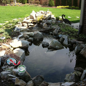KOI Pond, Backyard Pond & Small Pond Ideas for your Kentucky Landscape