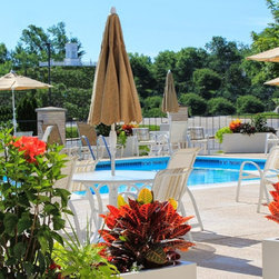 Modern Fiberglass Planters - Products