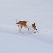 Diane Bushmaker's photo