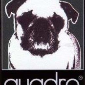 Grupo Quadro's photo
