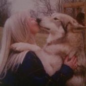 Lisa Compton's photo