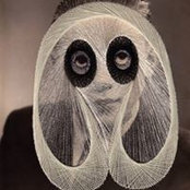 Ahn Buiさんの写真