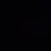 Wes Carlyon's photo