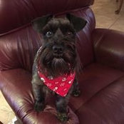 Marty Morgan's photo