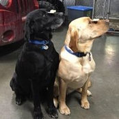 Marlene McCann Bergemann's photo