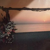 Nicole Contardo's photo