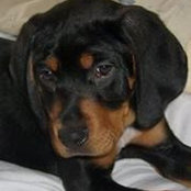 Patty Moerder's photo