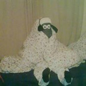Robyn Boyle's photo