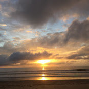 Jeannine King's photo