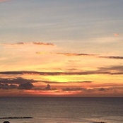 Marlene Lanzello's photo