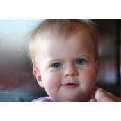 Maarten Devos's photo