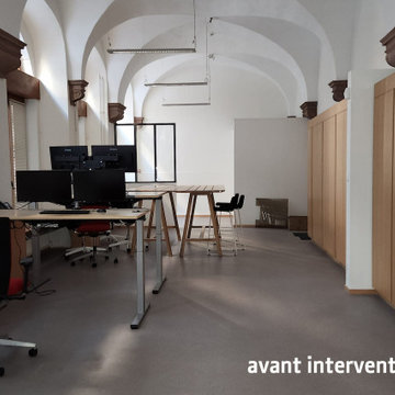 Aménagement et décoration végétaux stabilisés / espace de coworking