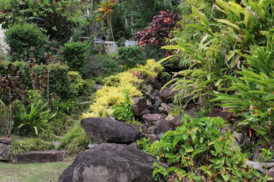 Garden in Sunshine Coast.