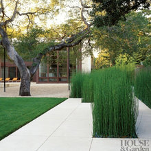 Landscape Ideas