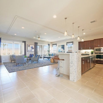 Tesla 3 Model Home - Palm Desert