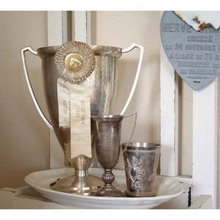 Julep cups