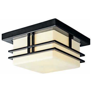 2 light Outdoor Flush Mount - 6.5 inches tall by 11.5 inches wide - Outdoor