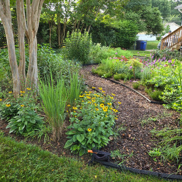 Established Native Plant Side Garden | Fairfax, VA