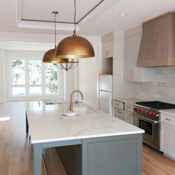 Ukrainian Village, Chicago - Spraying Cabinets