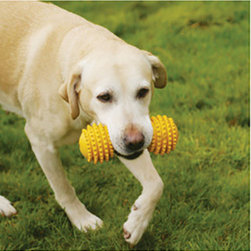 Cyber Rubber Dumbbell - Dog Toys