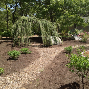 Rustic woodland path design and installation in Truro, Massachusetts