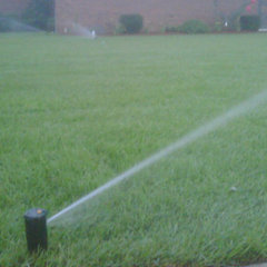 Benchmark Irrigation