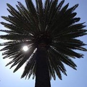David Holmes's photo