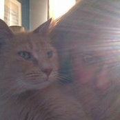 Nora Shreve's photo