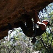 Conrad Roberts's photo