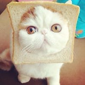 Upaa Chong's photo