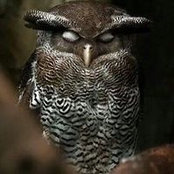 Curtis Fuchs's photo