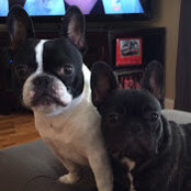 Molly Bushue's photo