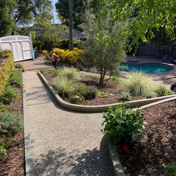 Landscape Design & Build