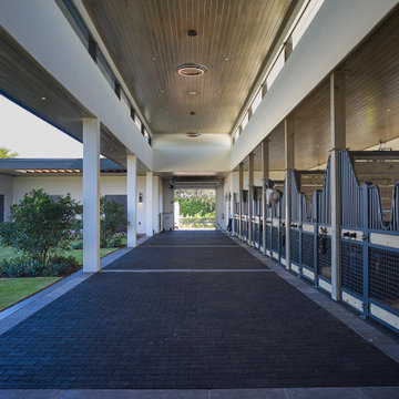 Modern Stables / horse barn