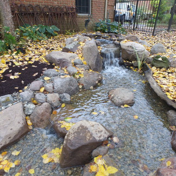Pond Retrofit