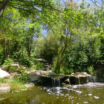 Residential Landscapes