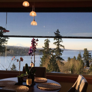 Solar Screen In Dining Room With A View