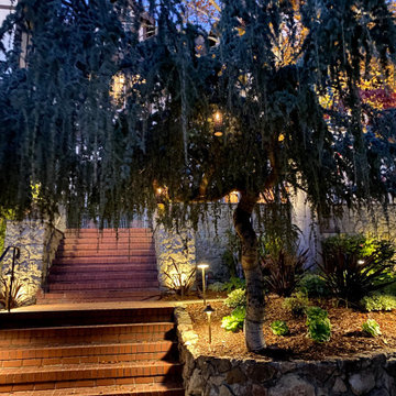 Berkley Hills lighting project