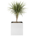 NMN Designs - Madeira Cube Planter, Planter Only - The cube has been around since the beginning of time, but this sleek version looks as modern as ever. Constructed of high-grade aluminum with 16" sides, the Madeira Cube is the perfect contemporary planter for showing off medium to large plants. The optional wood base raises the Madeira off the floor and takes this planter from stellar to stunning. Other details: heavy-duty build using seamless joint technology, and heat and fire resistant up to 500 degrees.