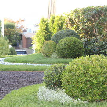 Classical Revival Curves