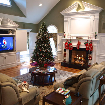 Living room design / build