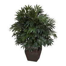 plants