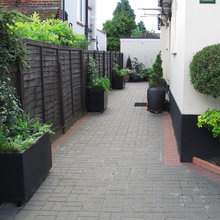 Sideyard
