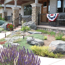 Colorado Xeriscape